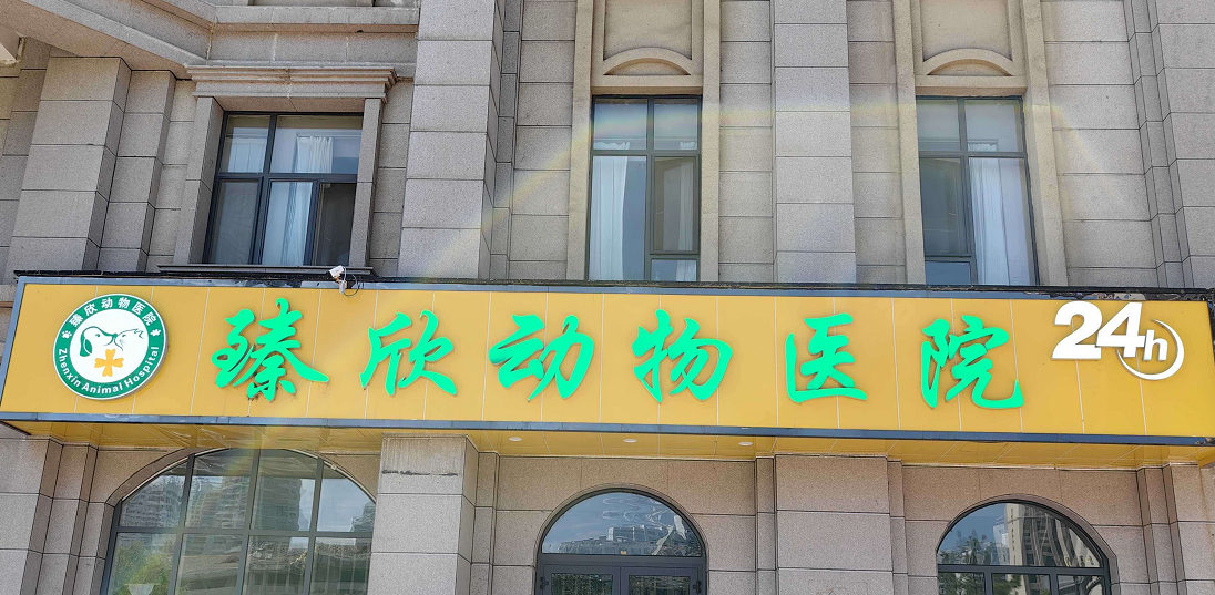 门头.png